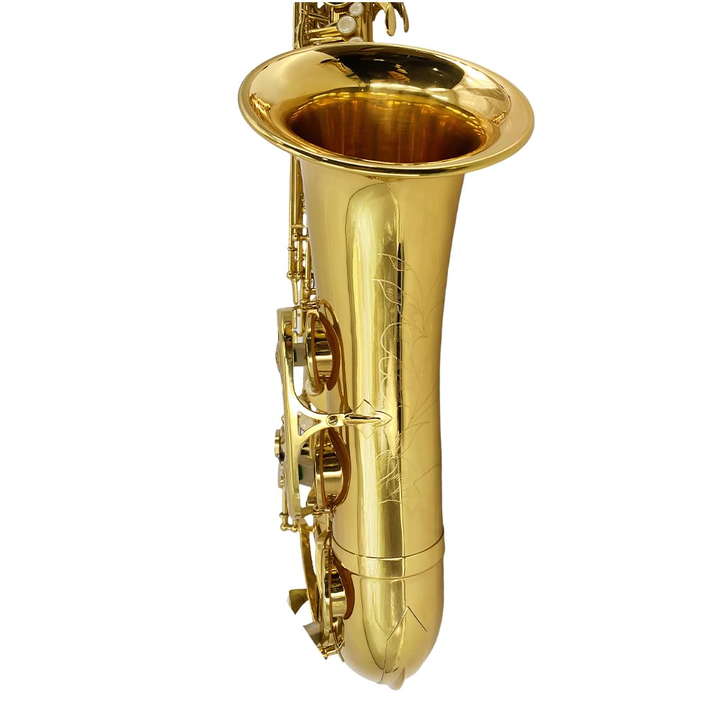 Bb Tenor Saxophone Beginner Kit with Hard Case V6452