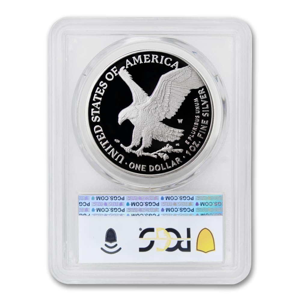 1 oz American Silver Eagle Coin D677731