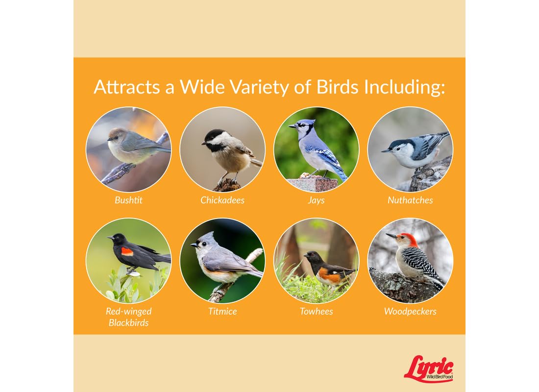 Wild Bird Seed 20 lb Bag B201