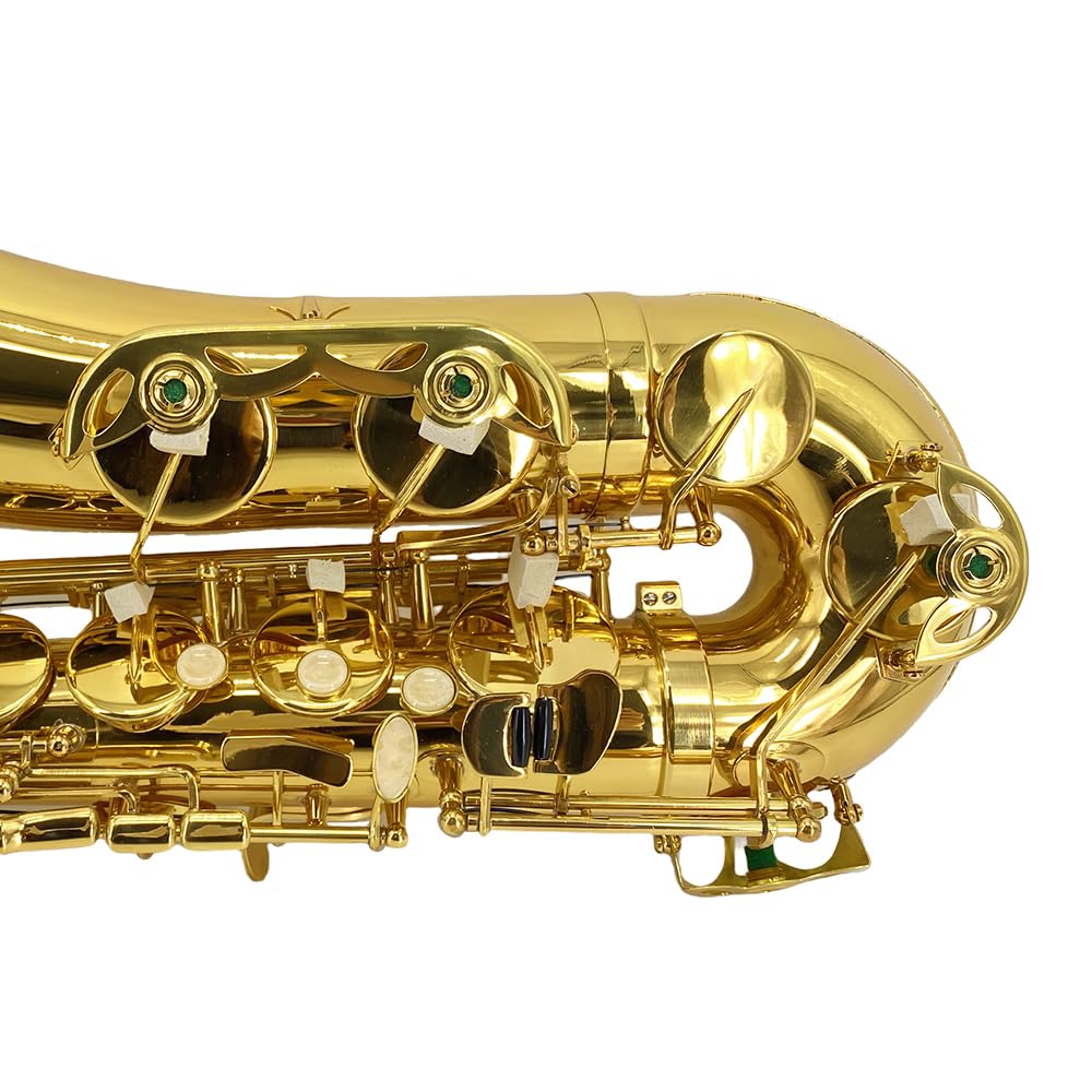 Bb Tenor Saxophone Beginner Kit with Hard Case V6452