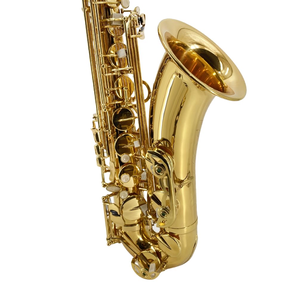 Bb Tenor Saxophone Beginner Kit with Hard Case V6452