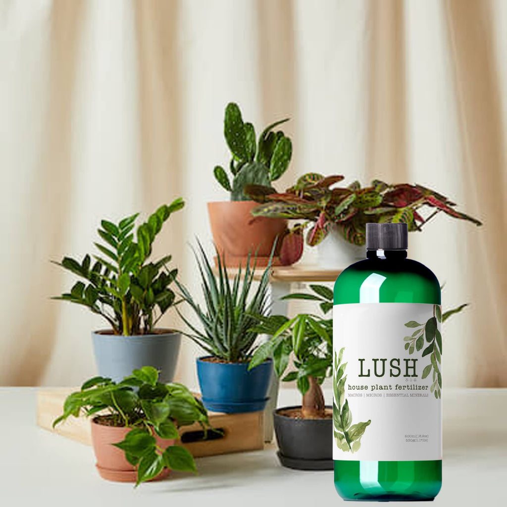 Houseplant Fertilizer J660380