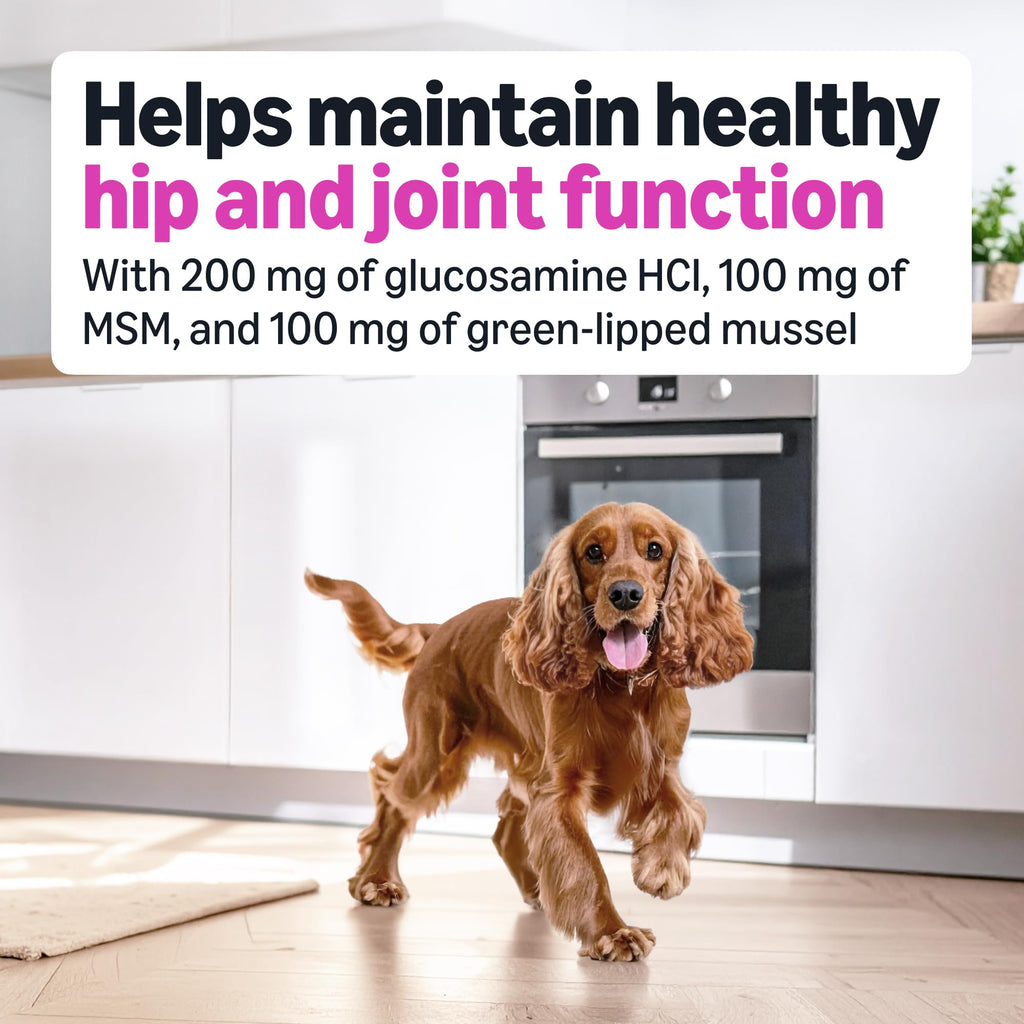 Dog Hip & Joint Supplement Chews with Glucosamine, MSM, Vitamin C, Duck Flavored, 120 Count L4923