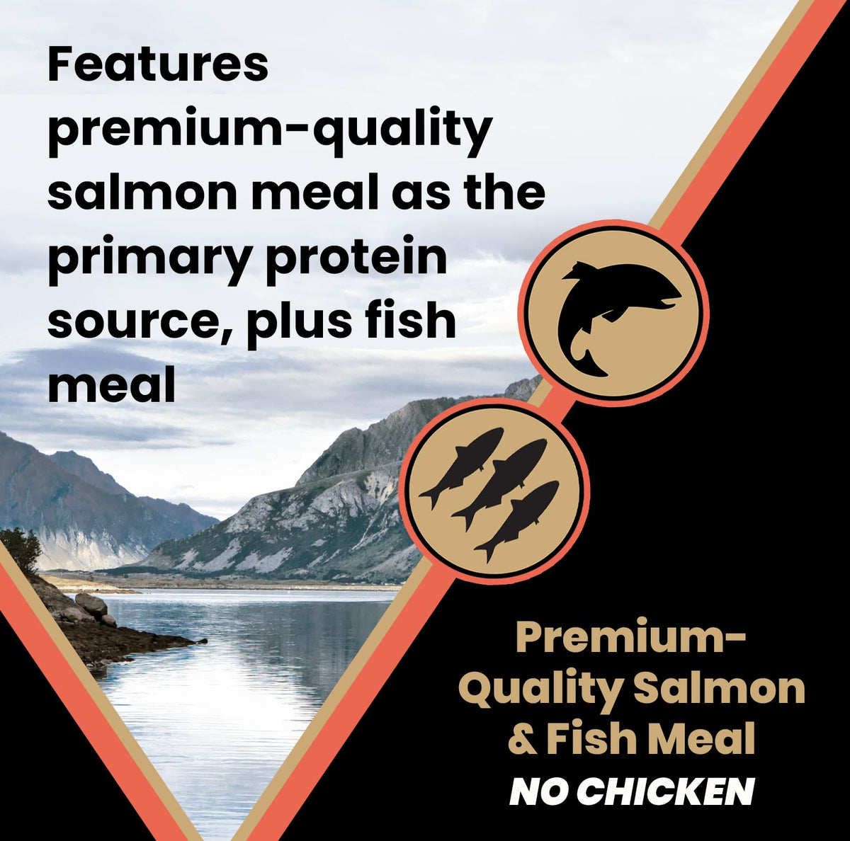 Salmon Meal & Brown Rice Dog Food, 30 lb T618