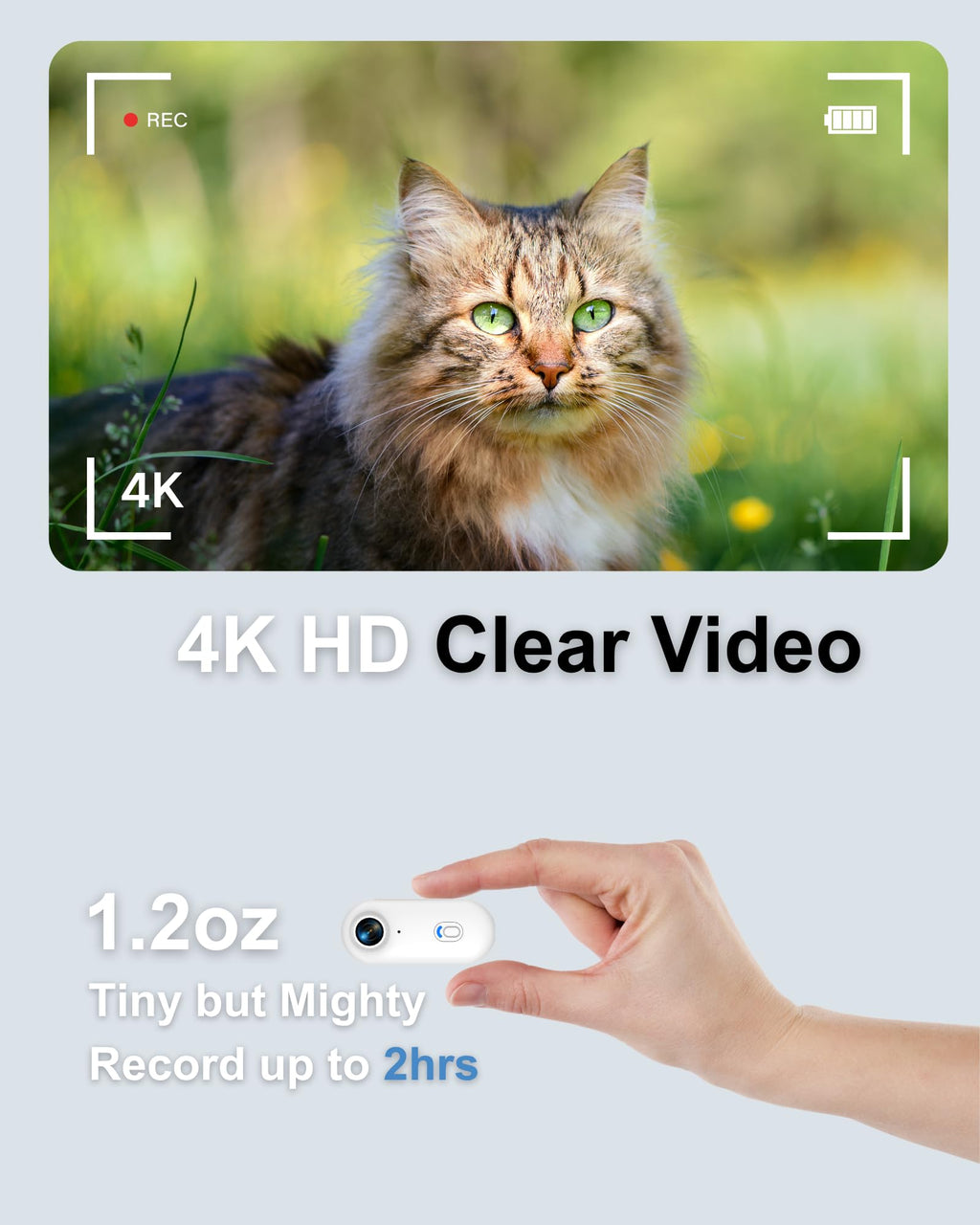 Cat Camera Collar with APP I615656