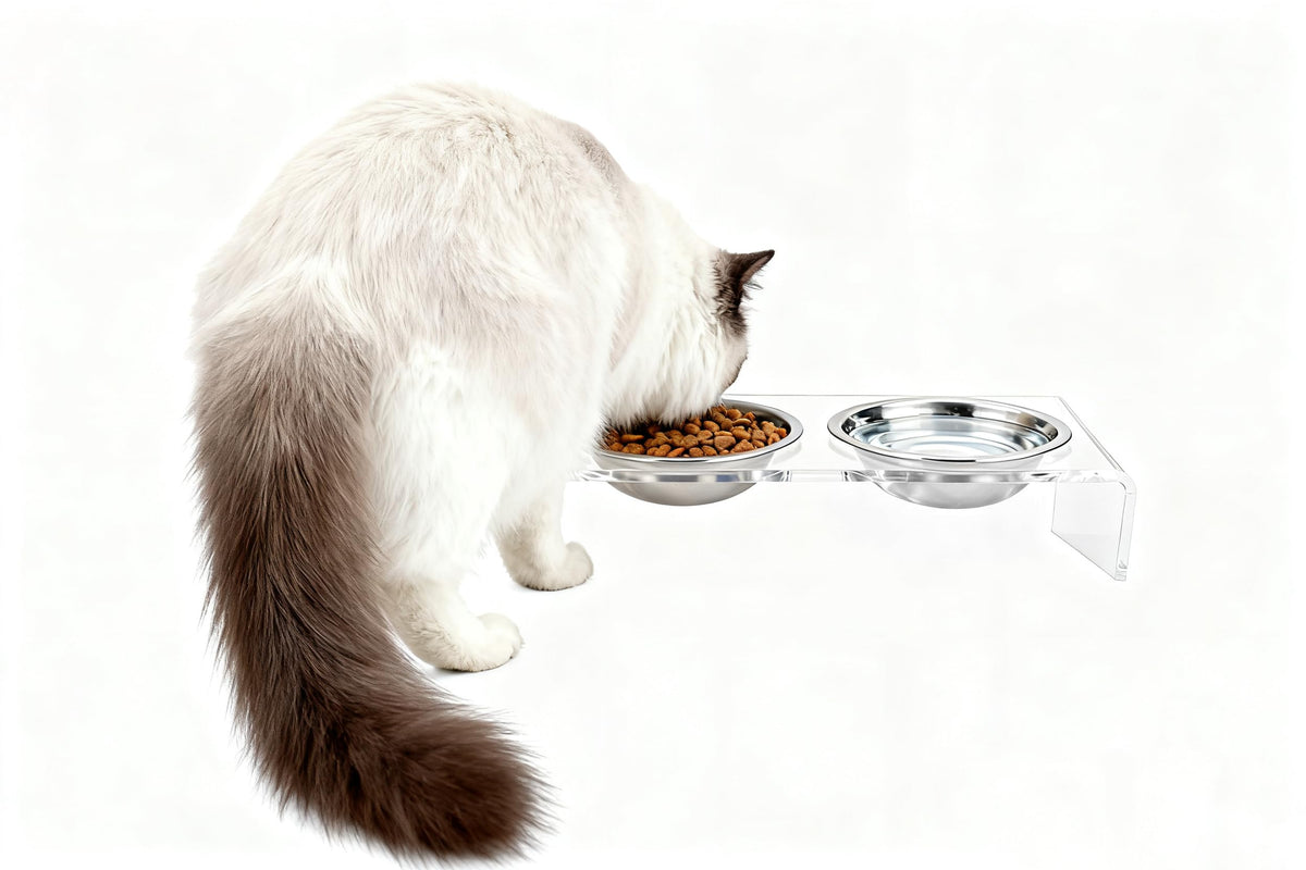 Elevated Cat & Dog Bowls Stand with 2 Stainless Steel Dishes B3269