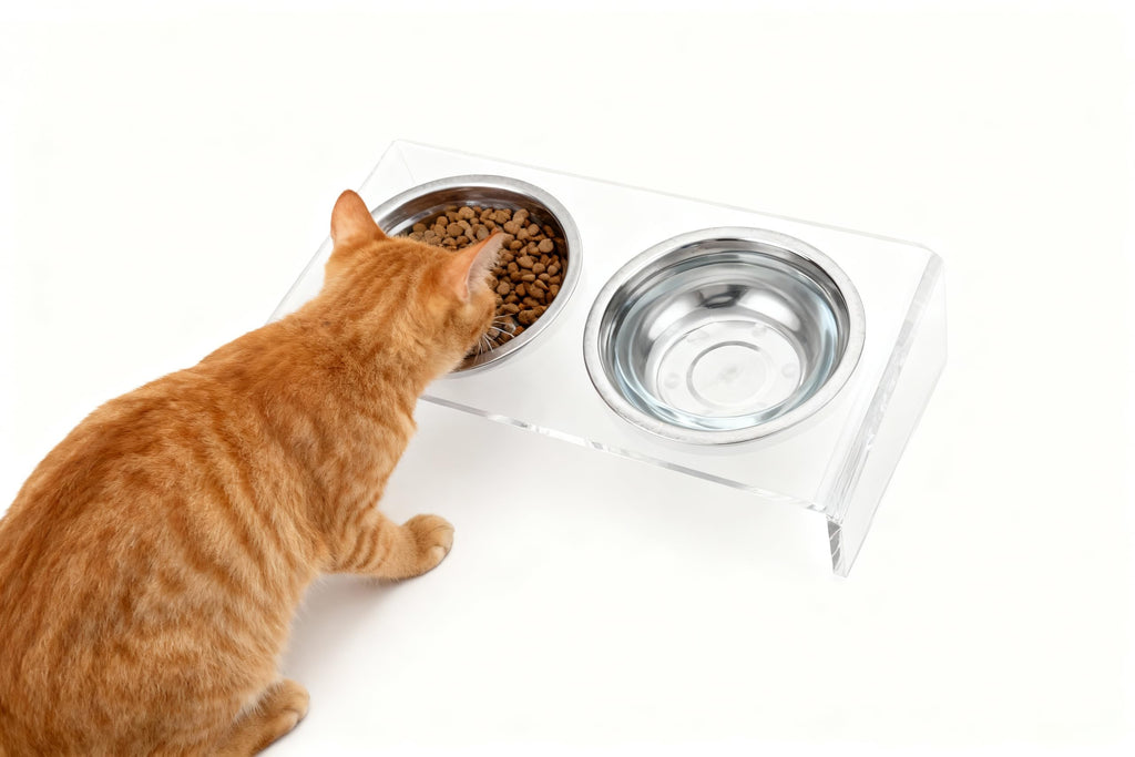 Elevated Cat & Dog Bowls Stand with 2 Stainless Steel Dishes B3269