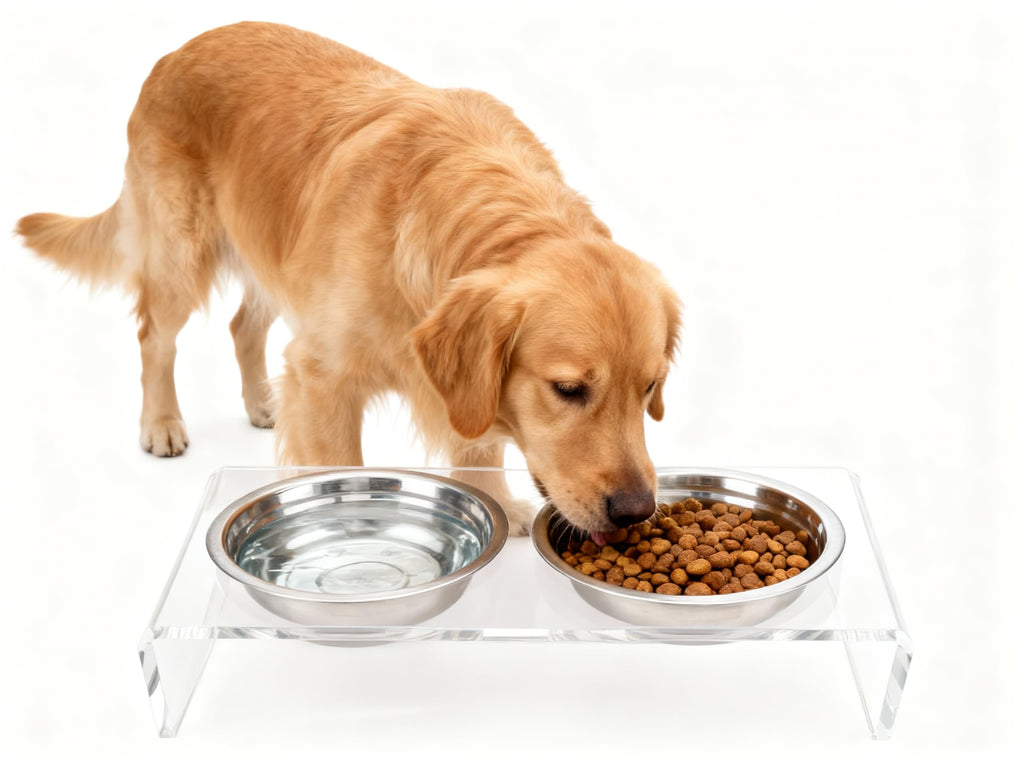 Elevated Cat & Dog Bowls Stand with 2 Stainless Steel Dishes B3269