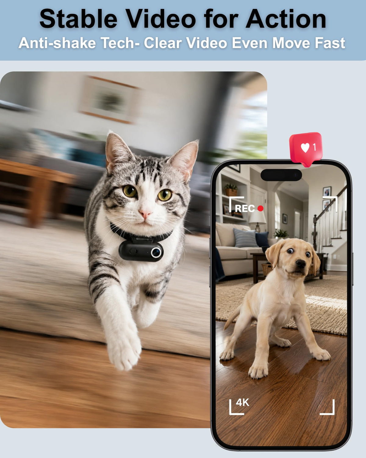 Cat Camera Collar with APP I615656