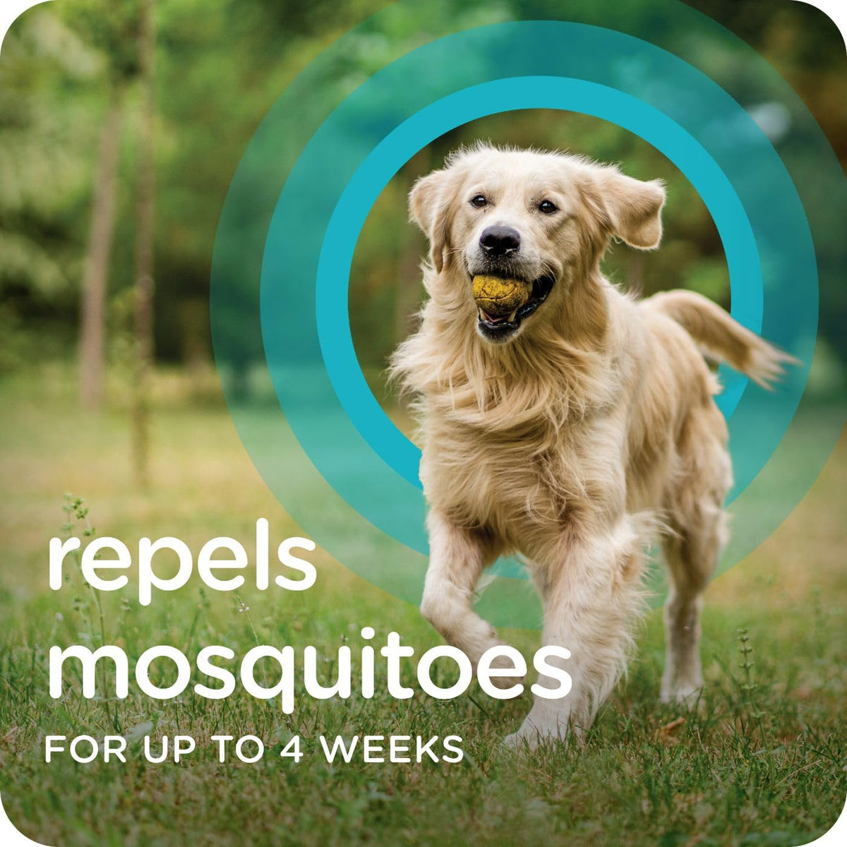Flea & Tick Topical Dogs 7-33 lbs 3-Month O23195