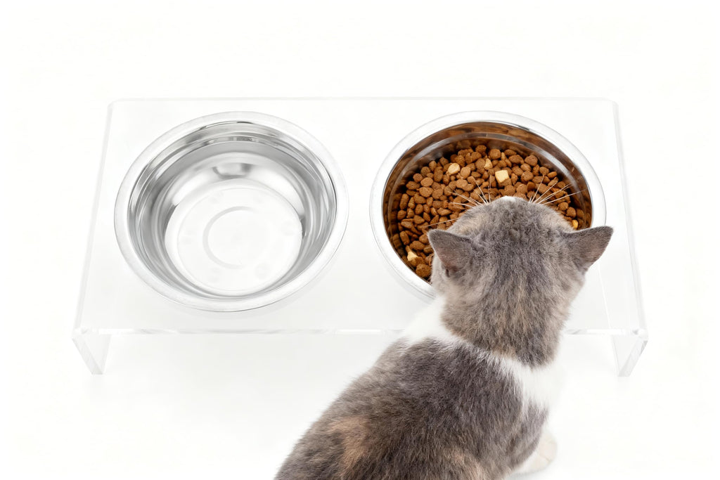 Elevated Cat & Dog Bowls Stand with 2 Stainless Steel Dishes B3269