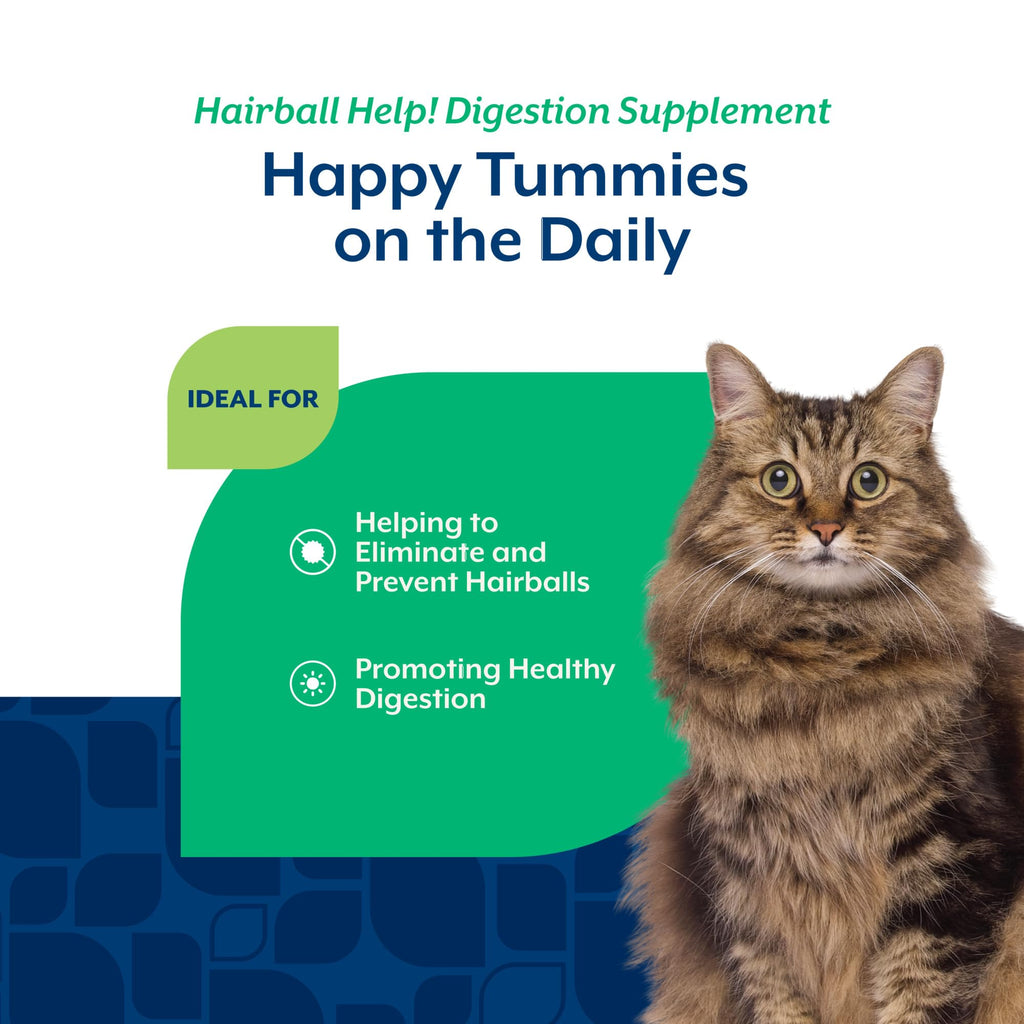 Hairball Aid Scoopable Supplement for Cats 5.5oz G977