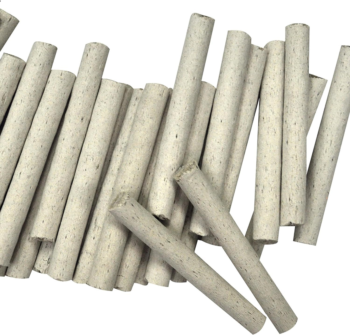 Houseplant Fertilizer Food Spikes 50 Pack A254731
