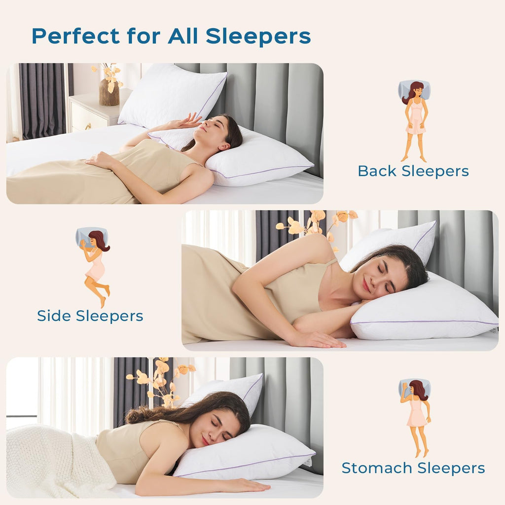 King Size Down Alternative Pillows Set of 2 H9265