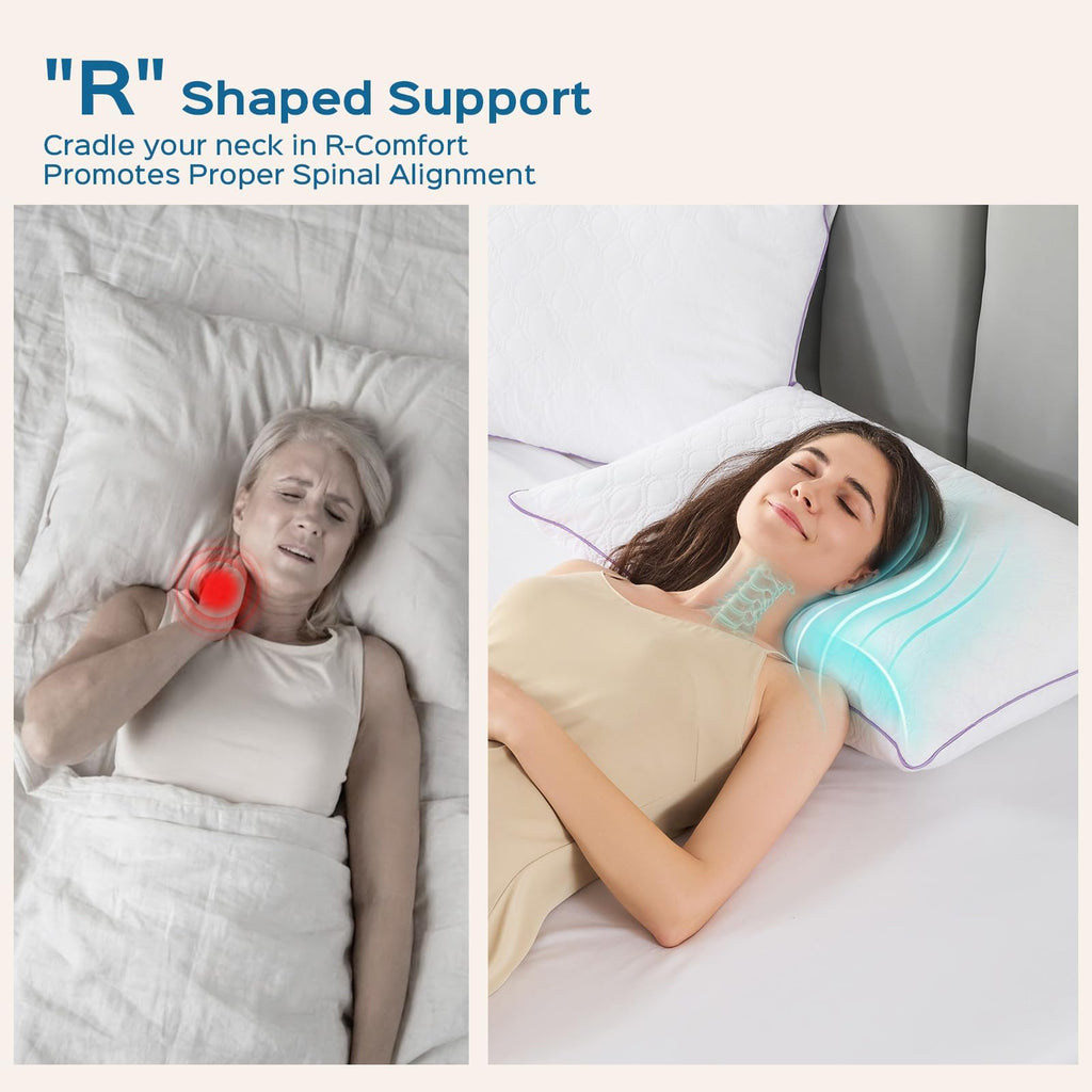 King Size Down Alternative Pillows Set of 2 H9265
