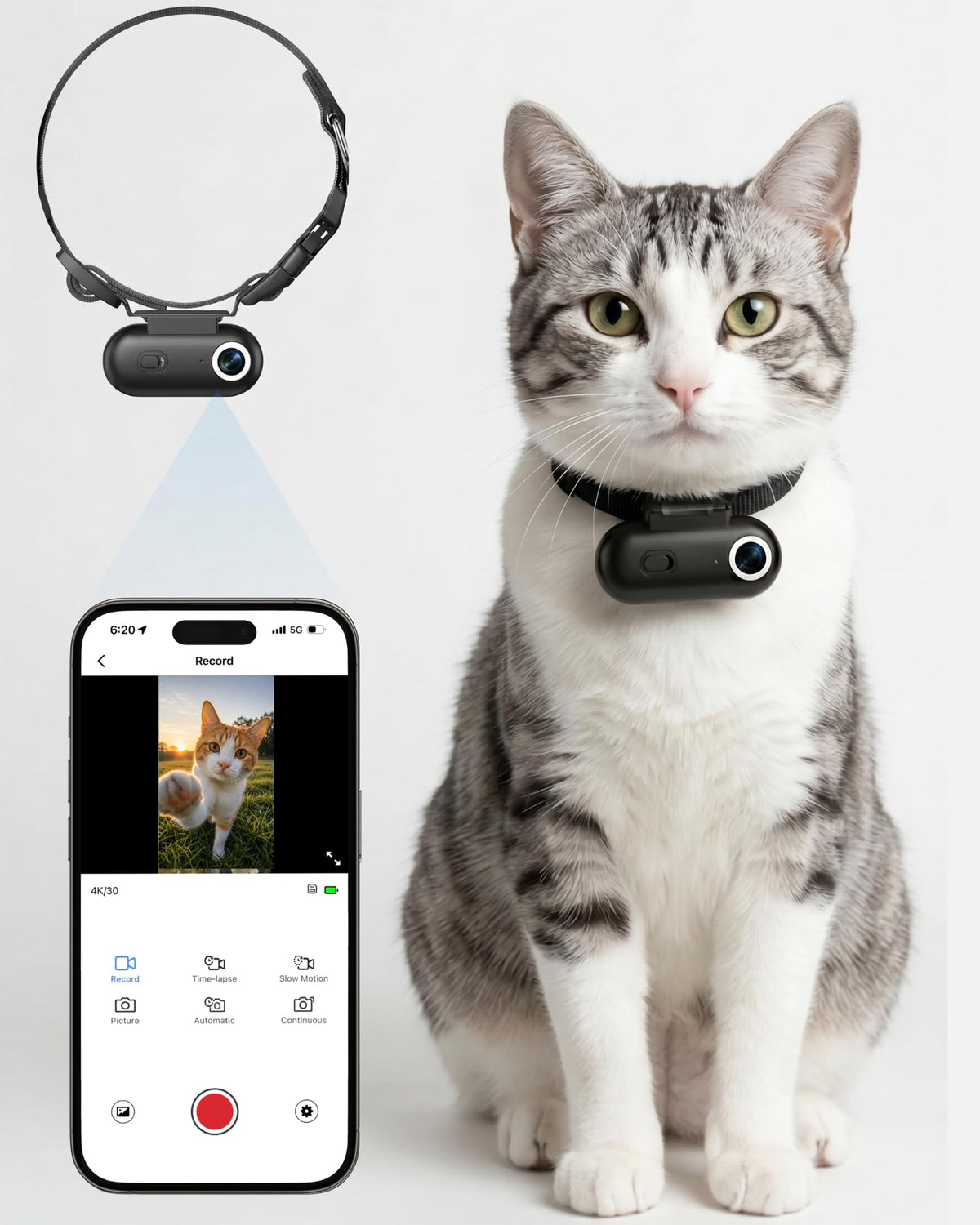 Cat Camera Collar with APP I615656