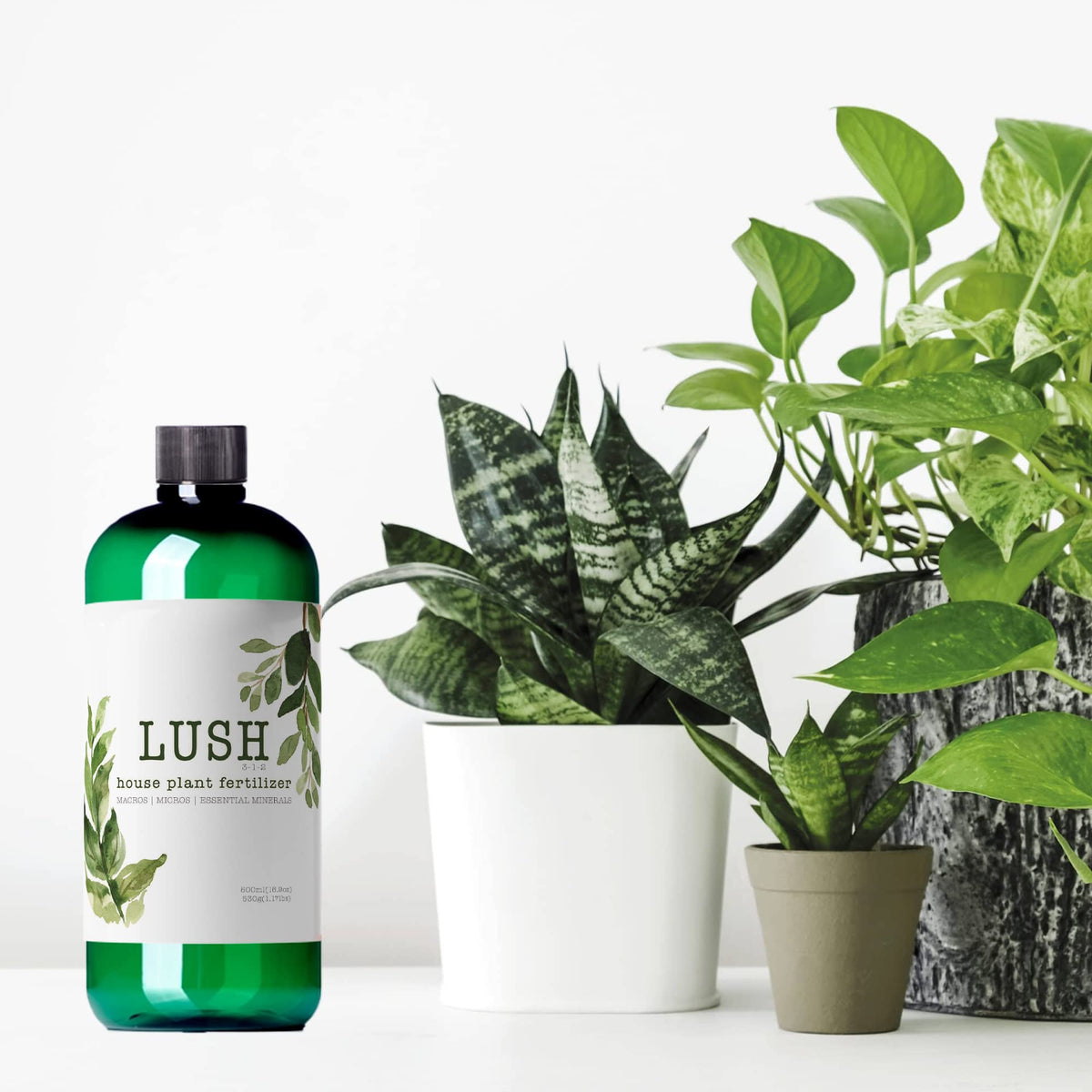 Houseplant Fertilizer J660380