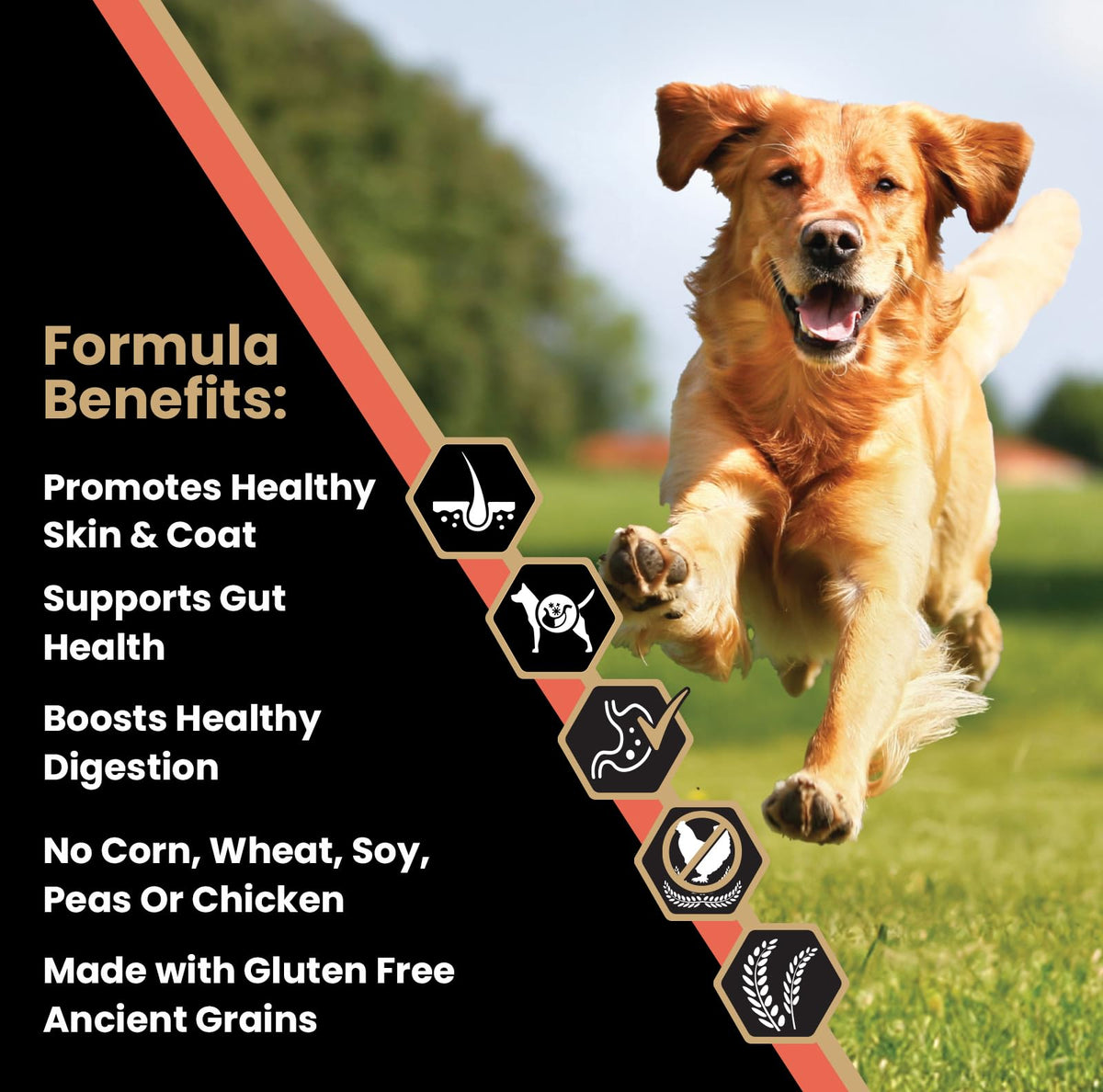 Salmon Meal & Brown Rice Dog Food, 30 lb T618