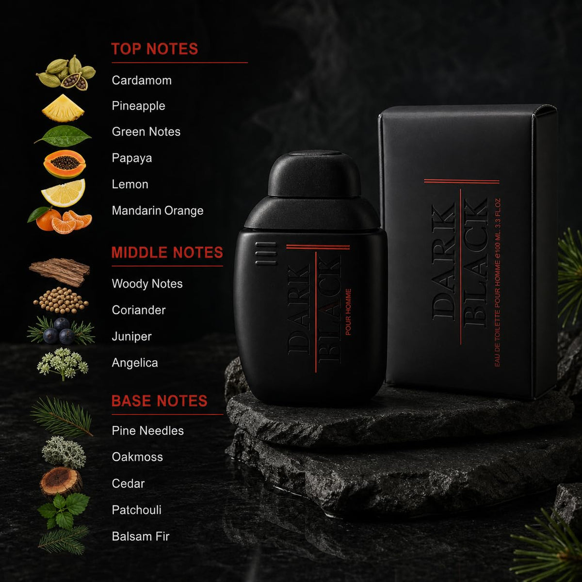 Black Eau de Toilette Cologne 100ml T42460