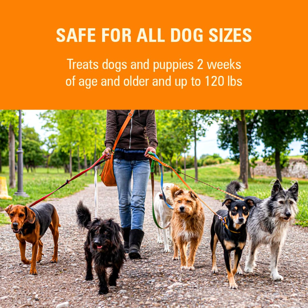 7 Way Liquid Dewormer for Dogs 2 oz Y81757