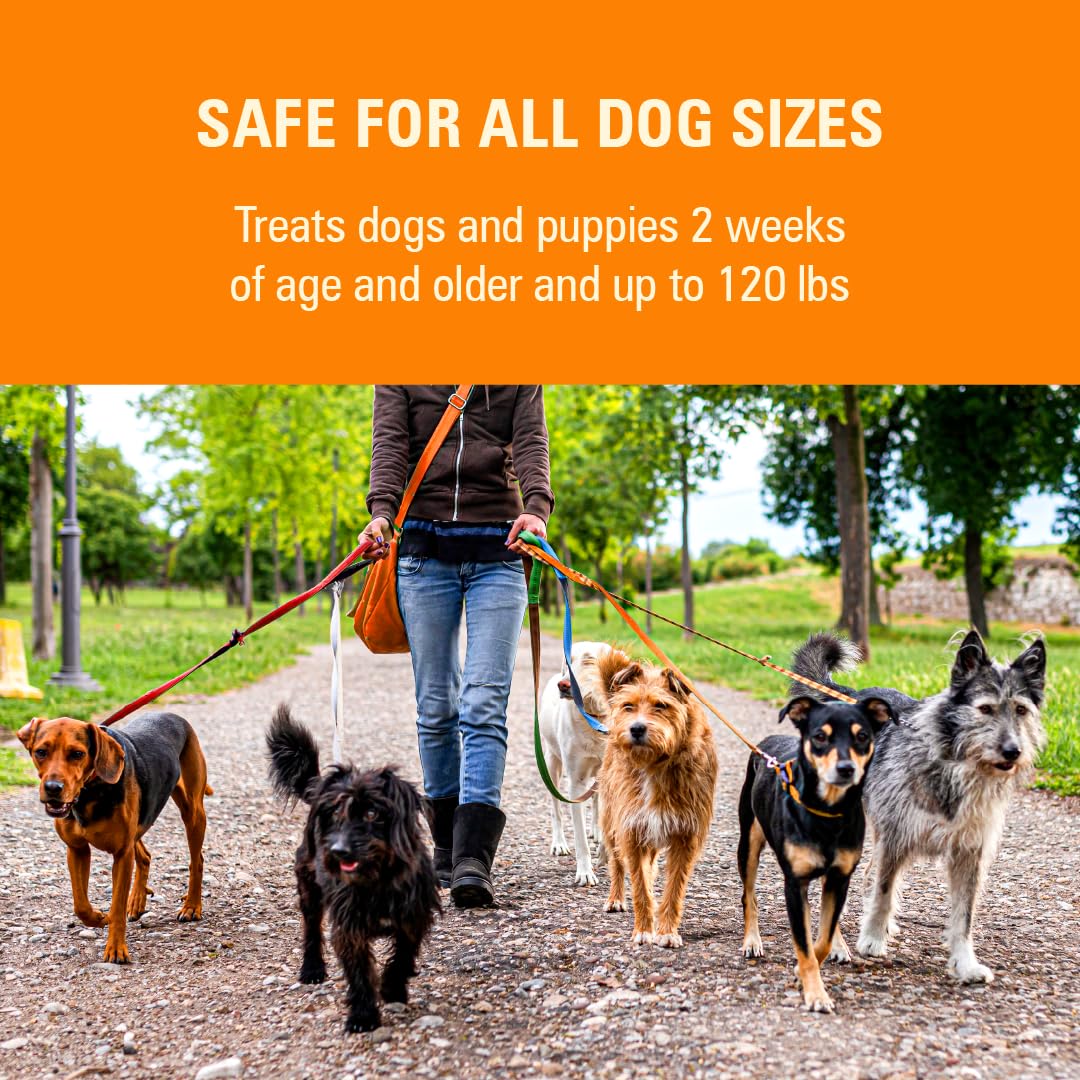 7 Way Liquid Dewormer for Dogs 2 oz Y81757