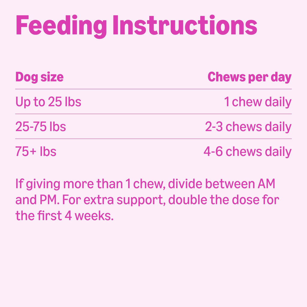 Dog Hip & Joint Supplement Chews with Glucosamine, MSM, Vitamin C, Duck Flavored, 120 Count L4923
