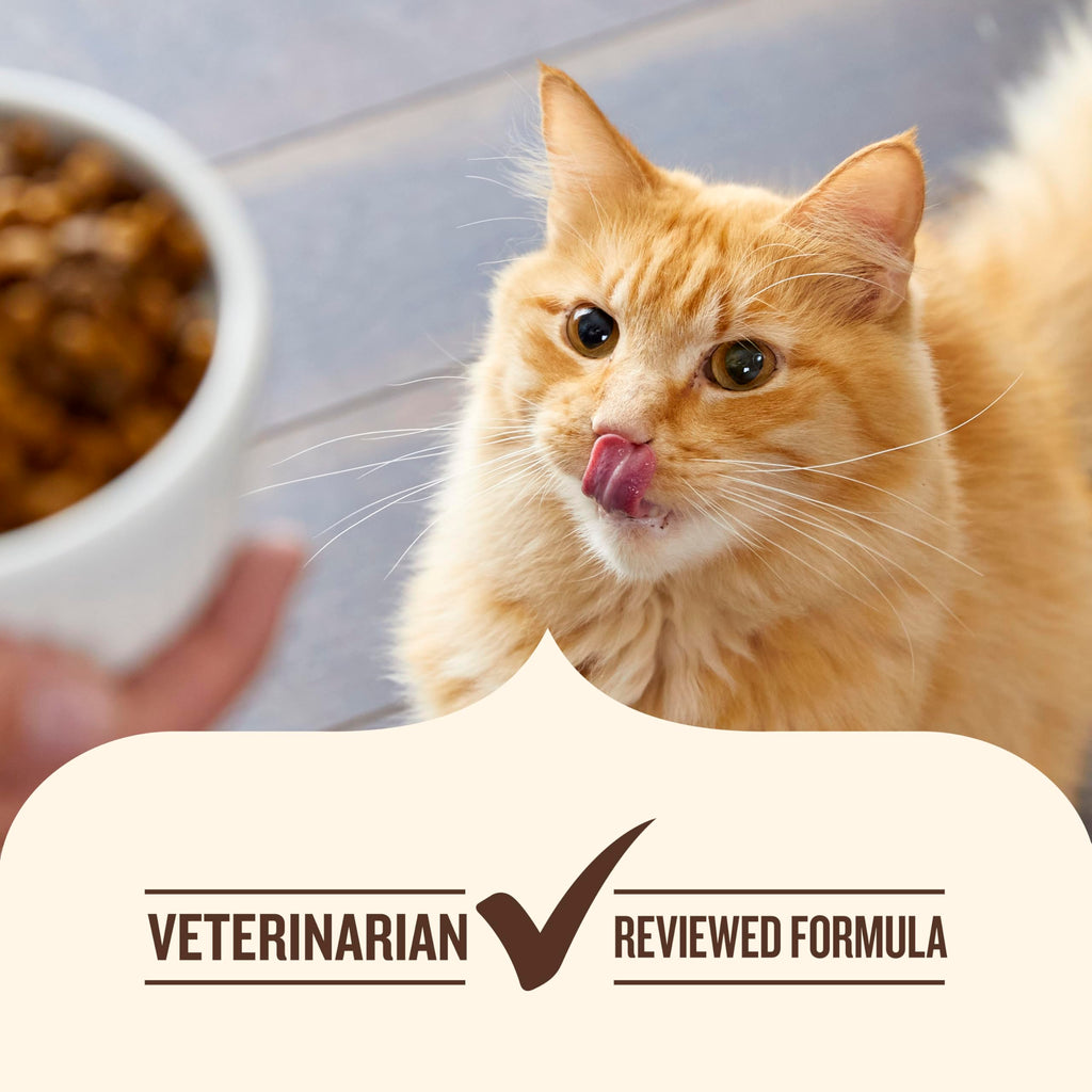 Chicken & Brown Rice Recipe Dry Cat Food 14 lb. Bag Z44876