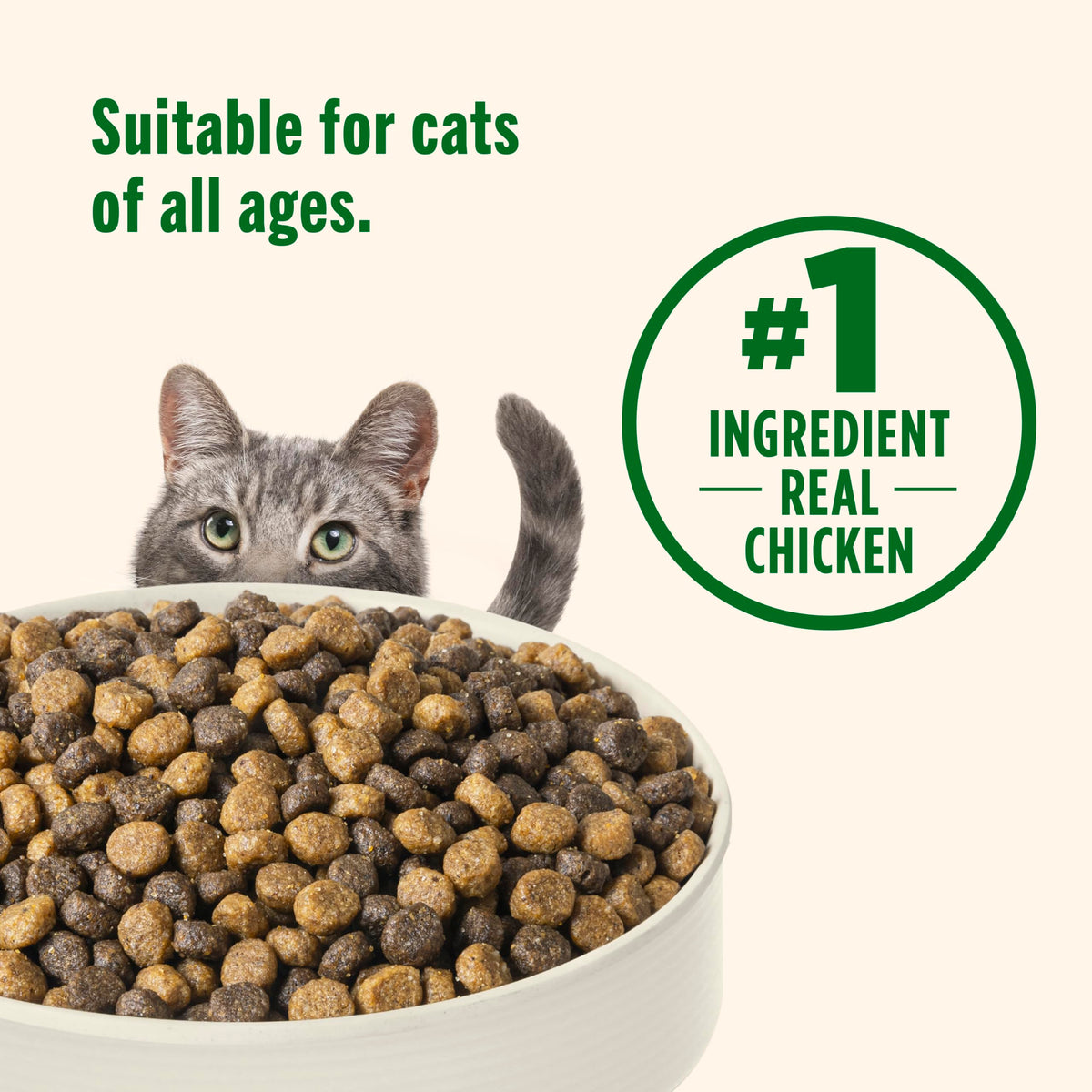 Chicken & Brown Rice Recipe Dry Cat Food 14 lb. Bag Z44876