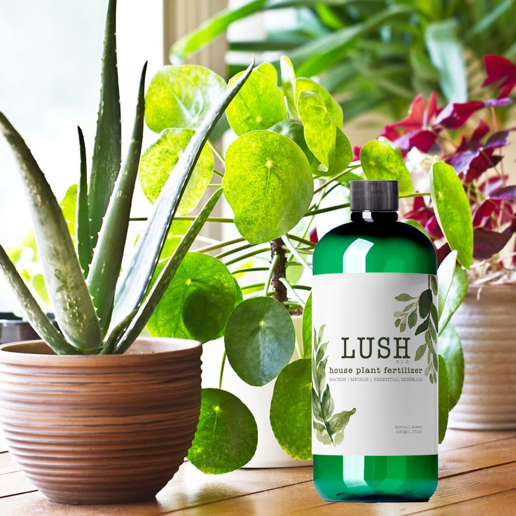 Houseplant Fertilizer J660380