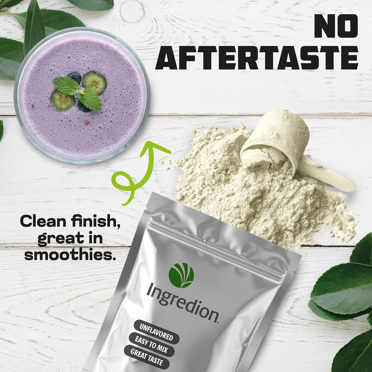 Pea Protein Isolate Non-GMO 8 lb R1313